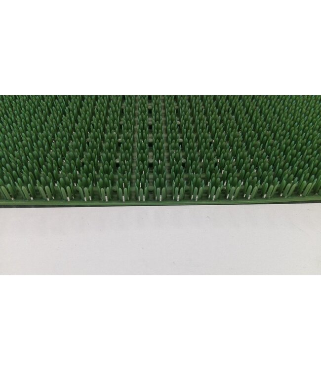 Intrada Deurmat / Grasmat - 40 x 60 cm - Groen