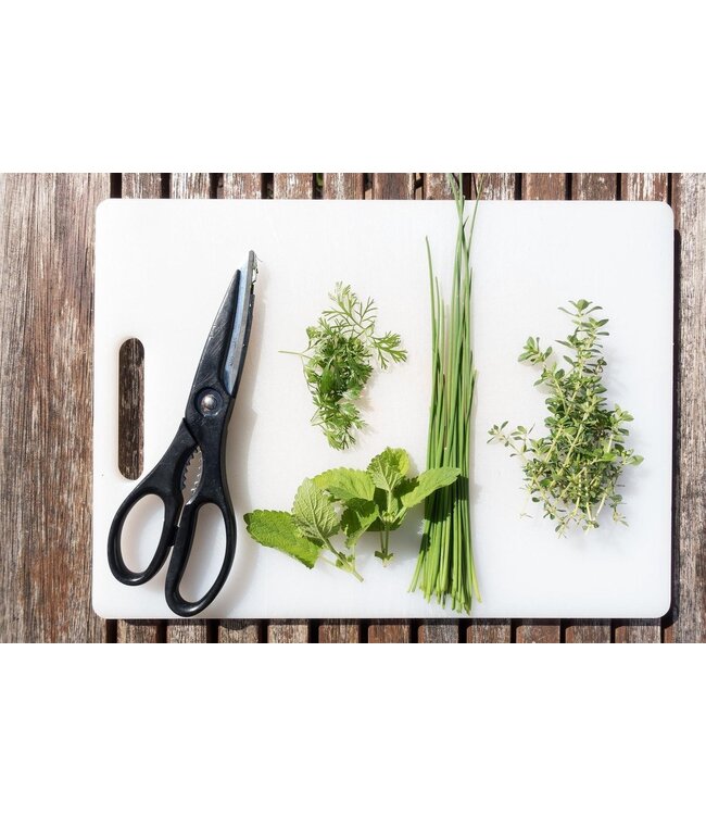 Benson Snijplank - Groot - 31x21x 0,5cm - Wit - kunststof