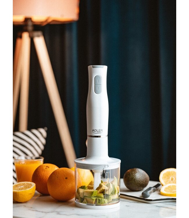 Adler Staafmixerset - 800 watt - RVS - Blender 0,75L