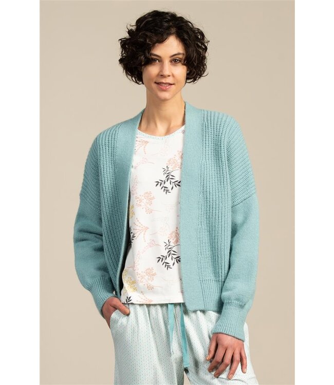 Eskimo Korte Cardigan / vest - gebreid - blauw