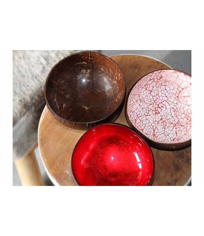 Noya Cocosbowl - Schaal/Kom kokosnoot - dia.14cm - Red Eggshell