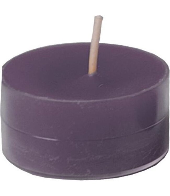 Spaas  Geurtheelichten - 24 stuks - Joyful Excitement