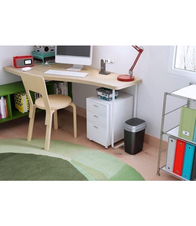 Curver Vuilbak -Dual swing - 10L - zwart