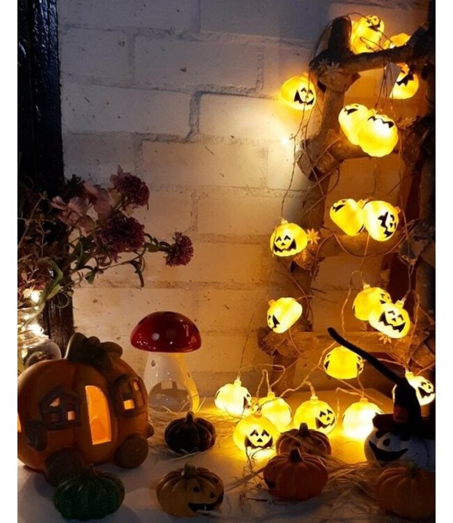 Cosy @ Home Pompoen licht slinger - 20 lampen