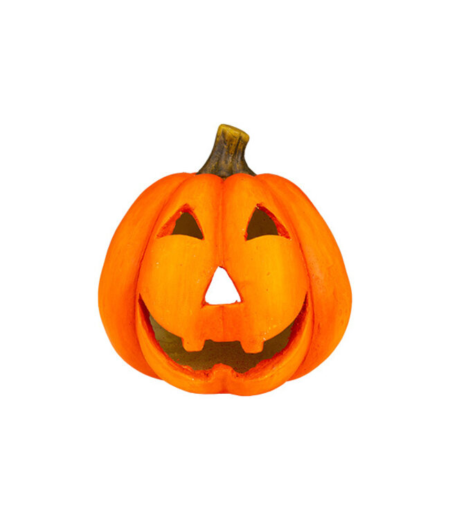 Cosy @ Home Pompoen - oranje - dia.22H22cm