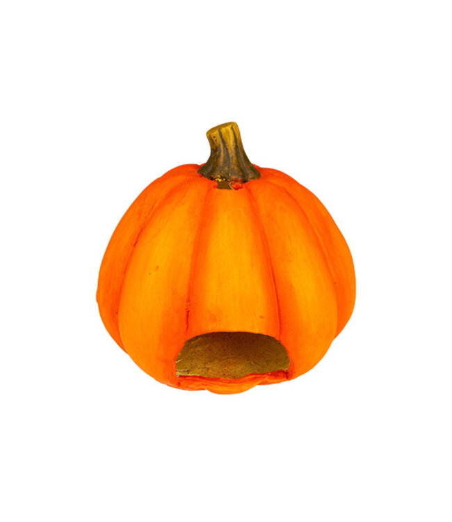 Cosy @ Home Pompoen - oranje - dia.22H22cm