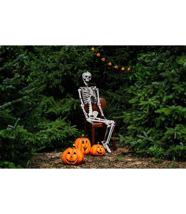 Cosy @ Home Pompoen - oranje - dia.22H22cm