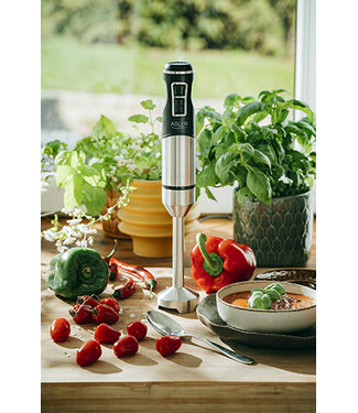 Adler Staafmixer met turbofunctie en ijscrushfunctie