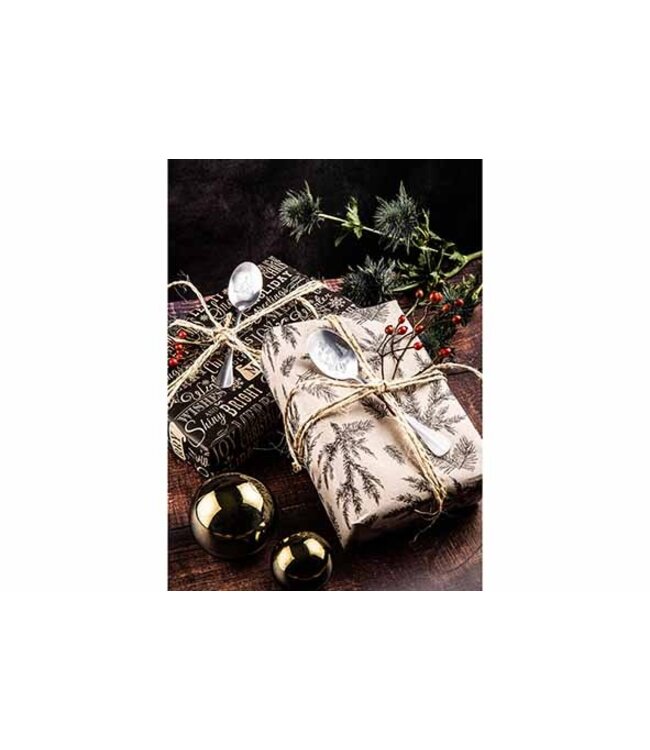 One message spoon Lepel - 15cm - All I want for christmas is you