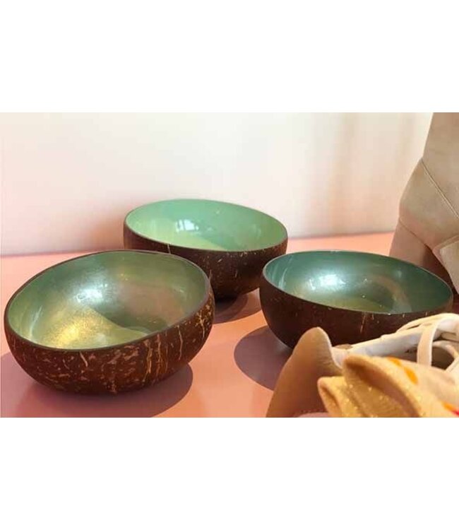 Noya Cocosbowl - Schaal/Kom kokosnoot - dia.14cm - Metallic Mint Green Leaf