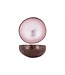 Noya Cocosbowl - Schaal/Kom kokosnoot - dia.14cm - Metallic Soft Pink Leaf