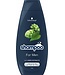 Schwarzkopf Shampoo - 400ml - For Men