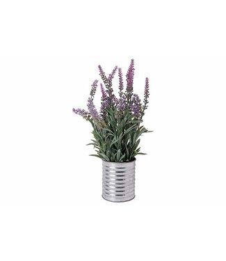 Cosy @ Home Lavendel in pot - Lila - dia.15H33cm