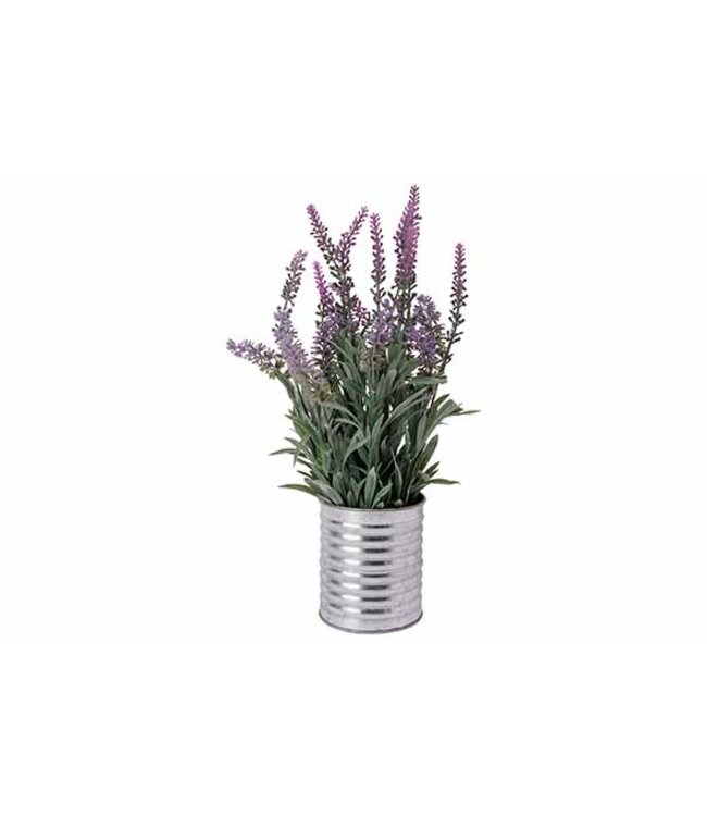 Cosy @ Home Lavendel in pot - Lila - dia.15H33cm