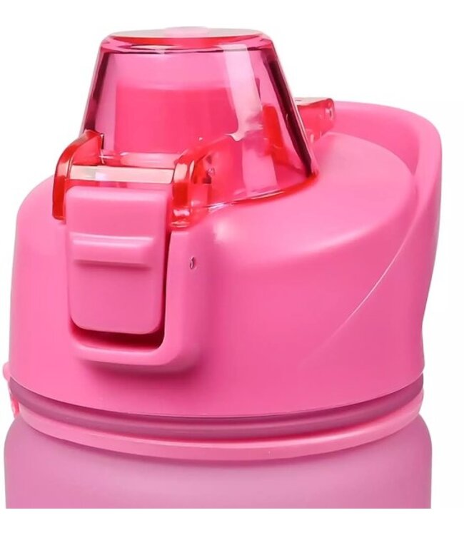 Benson Drinkfles 750 ml - Blauw/Roze - Met Zeef en Draaglus