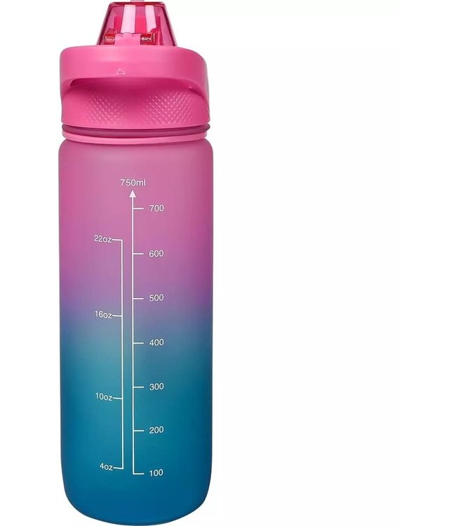Benson Drinkfles 750 ml - Blauw/Roze - Met Zeef en Draaglus