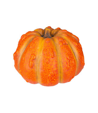 Cosy @ Home Pompoen Grainy Oranje 24,1x23,6xH15,8cm Rond Keramiek – Halloween Decor