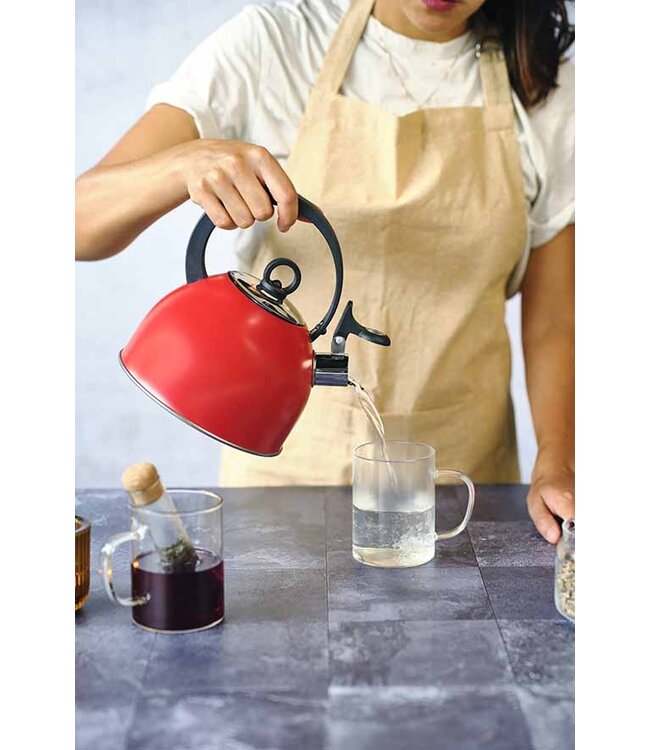 Cosy & Trendy Fluitketel Rood 1,7L – RVS met Nylon Handvat Ø18 x H21,5 cm