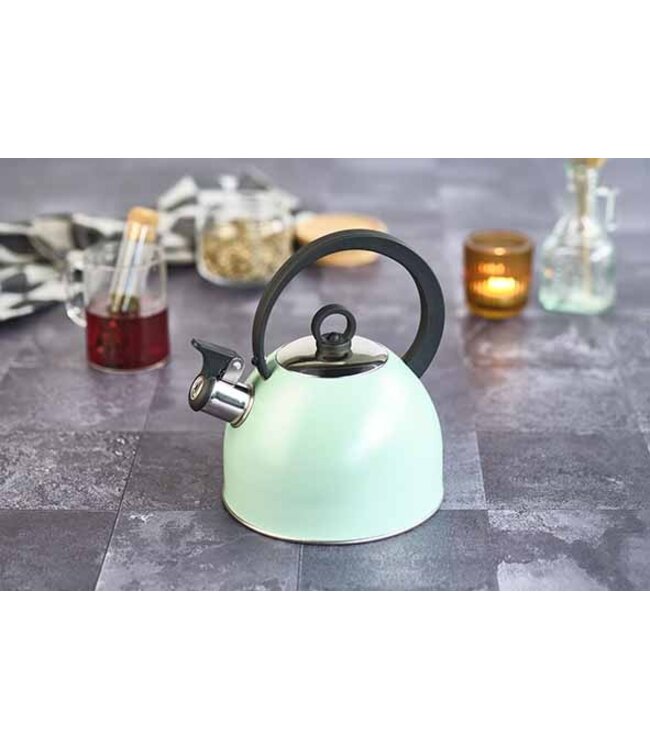 Cosy & Trendy Fluitketel Mintgroen 1,7L – RVS met Nylon Handvat Ø18 x H21,5 cm