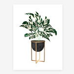 ALL THE WAYS TO SAY ALL THE WAYS TO SAY - Calathea