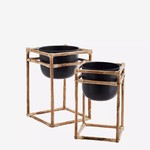 MADAM STOLTZ - Pot sur pied - Grand