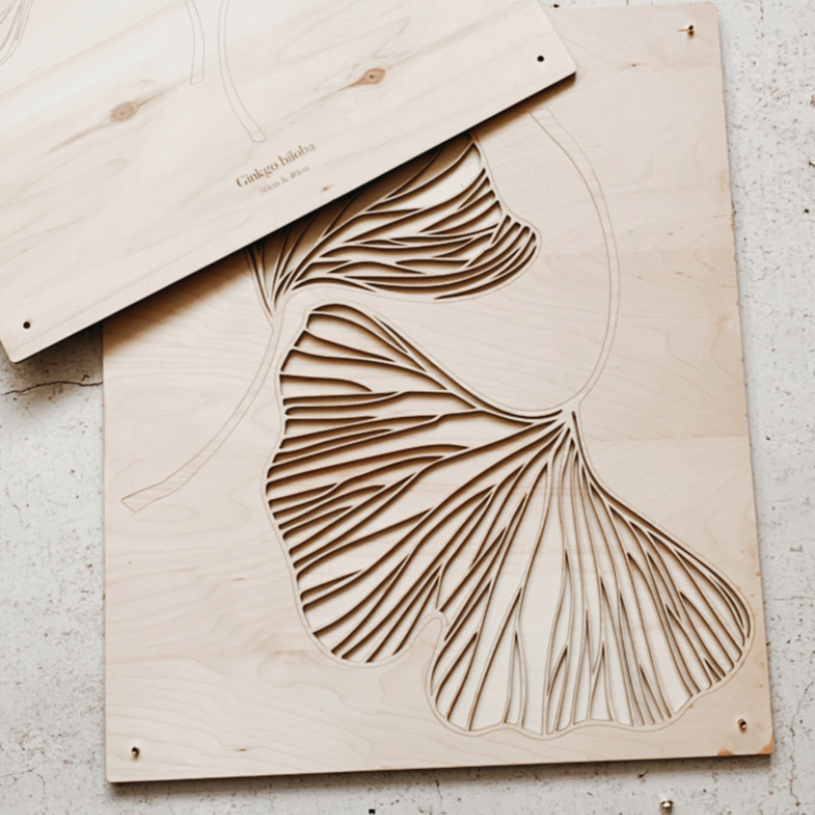 One Of A Kind LASERCUT - Plantlines - Gingko 50cm + 40cm