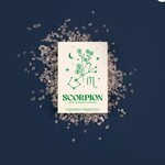 Scorpion - Sachet de graines de cosmos