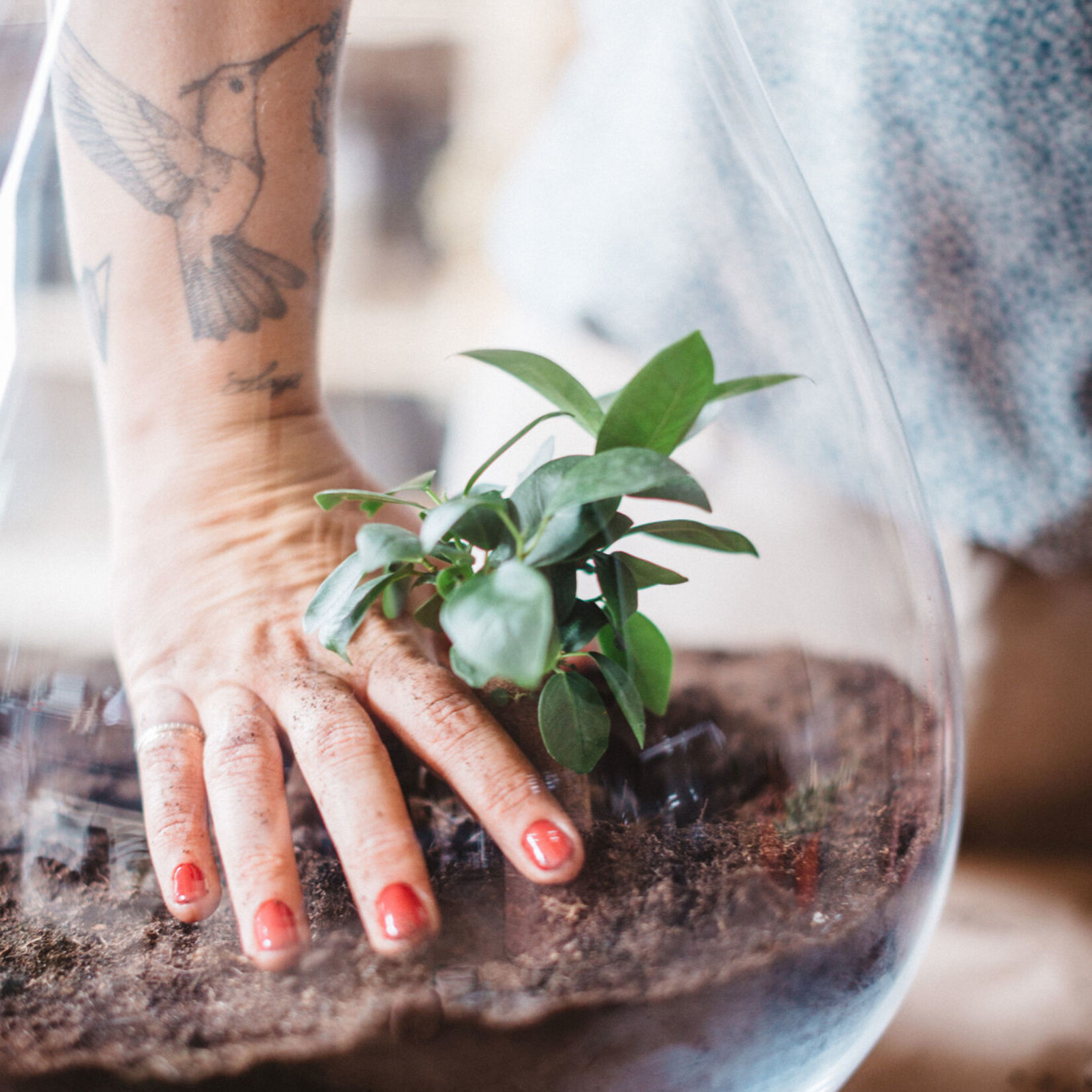 One Of A Kind Atelier terrarium - 13 septembre 2025 - 10h30