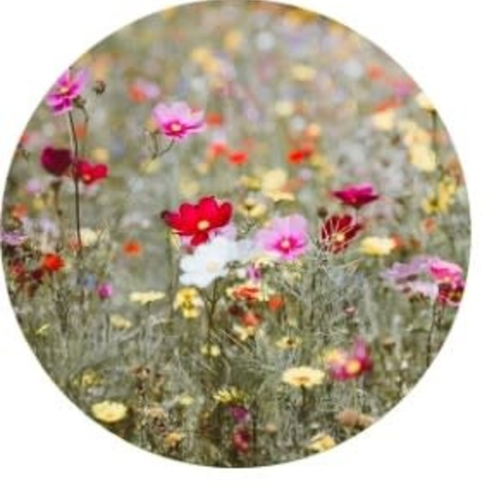 LA FABRIQUE A SACHET - Viens on sème - Sachet de graines de Fleurs des champs