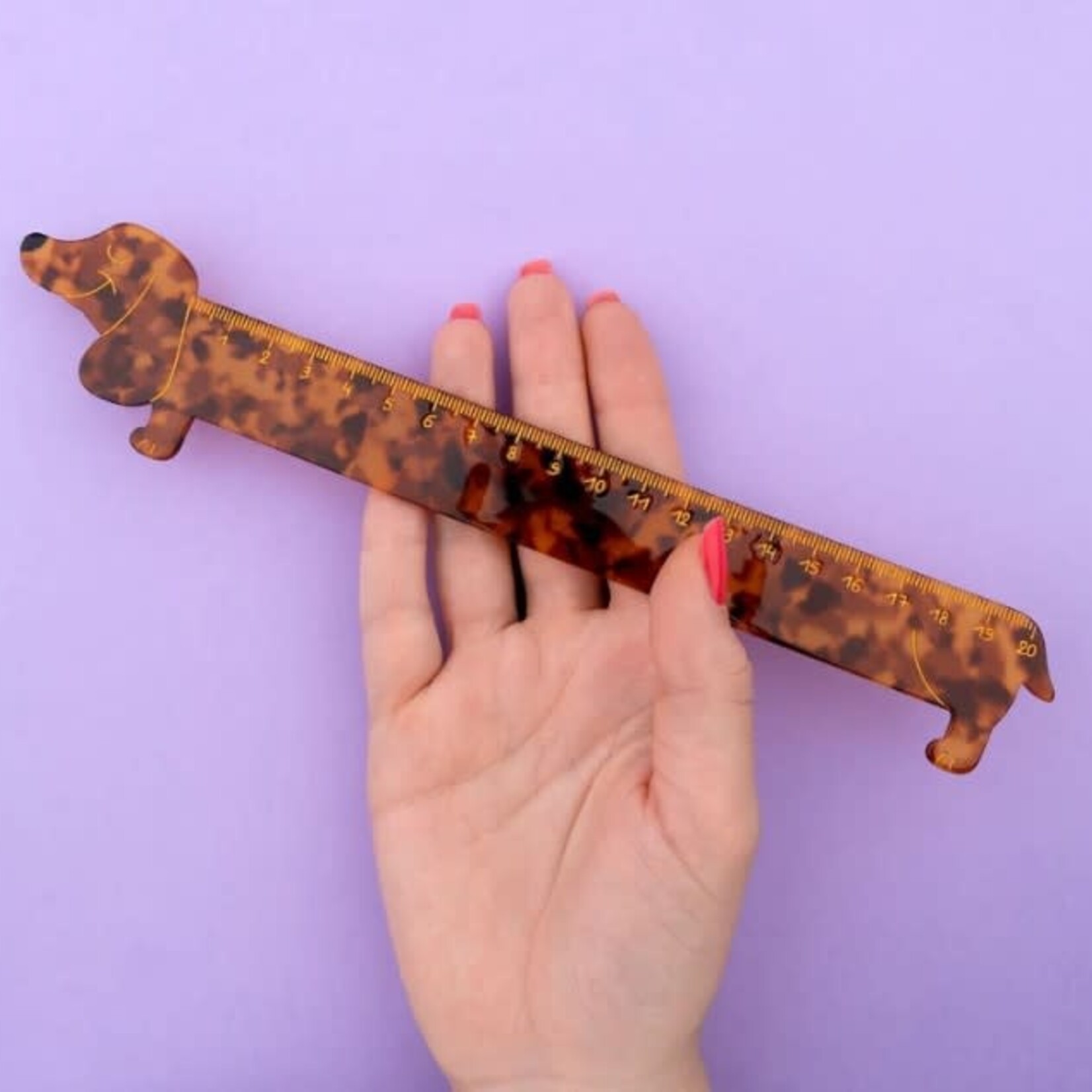 coucou suzette Coucou Suzette - Règle Teckel