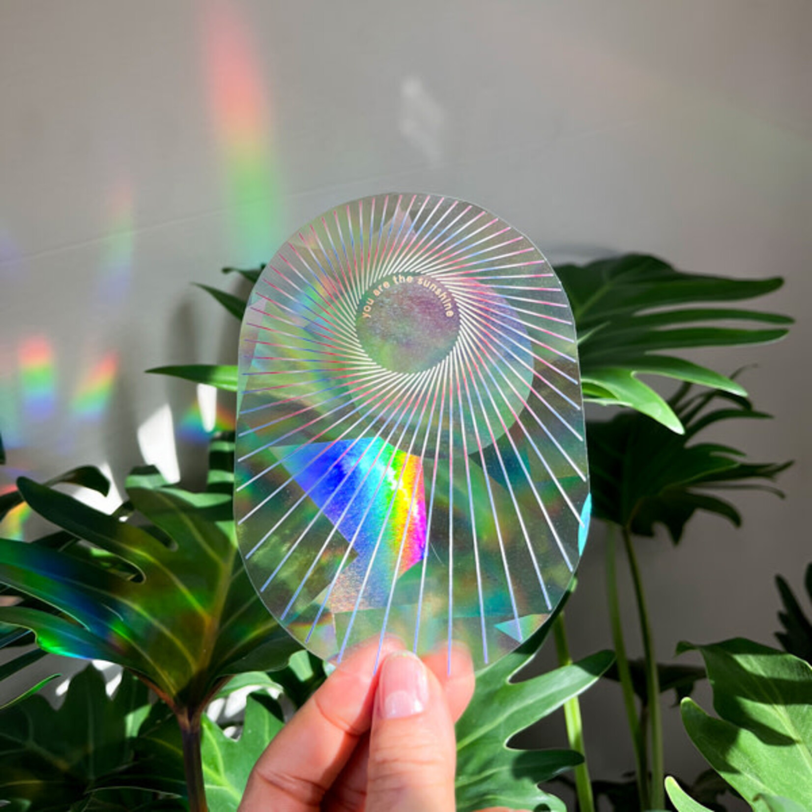 BOTANOPIA - Rainbow maker sticker Keep going to keep growing