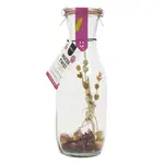 PINEUT - Eau aromatisée - Rose Mountain Tea Hibiscus BIO