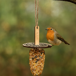 One Of A Kind LASERCUT - Bird lolly's