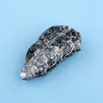 coucou suzette Coucou Suzette - Pince à cheveux Huitre