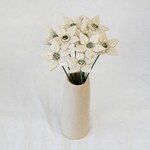 NATUROTHEKE NATUROTHEKE - Edelweiss