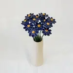 NATUROTHEKE NATUROTHEKE - Marguerite Bleu foncé