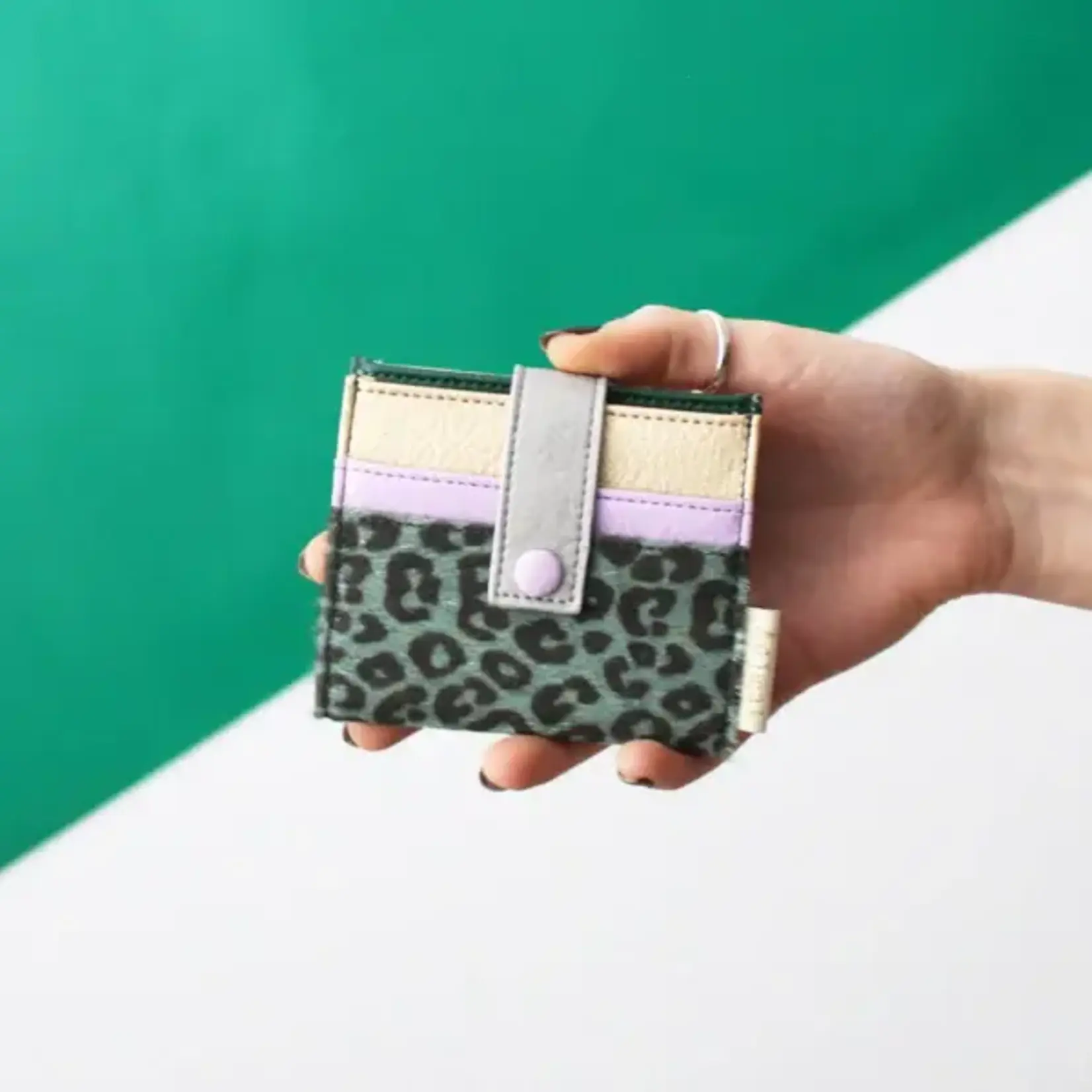 HOUSE OF DISASTER House of Distater - Double porte cartes - Léopard