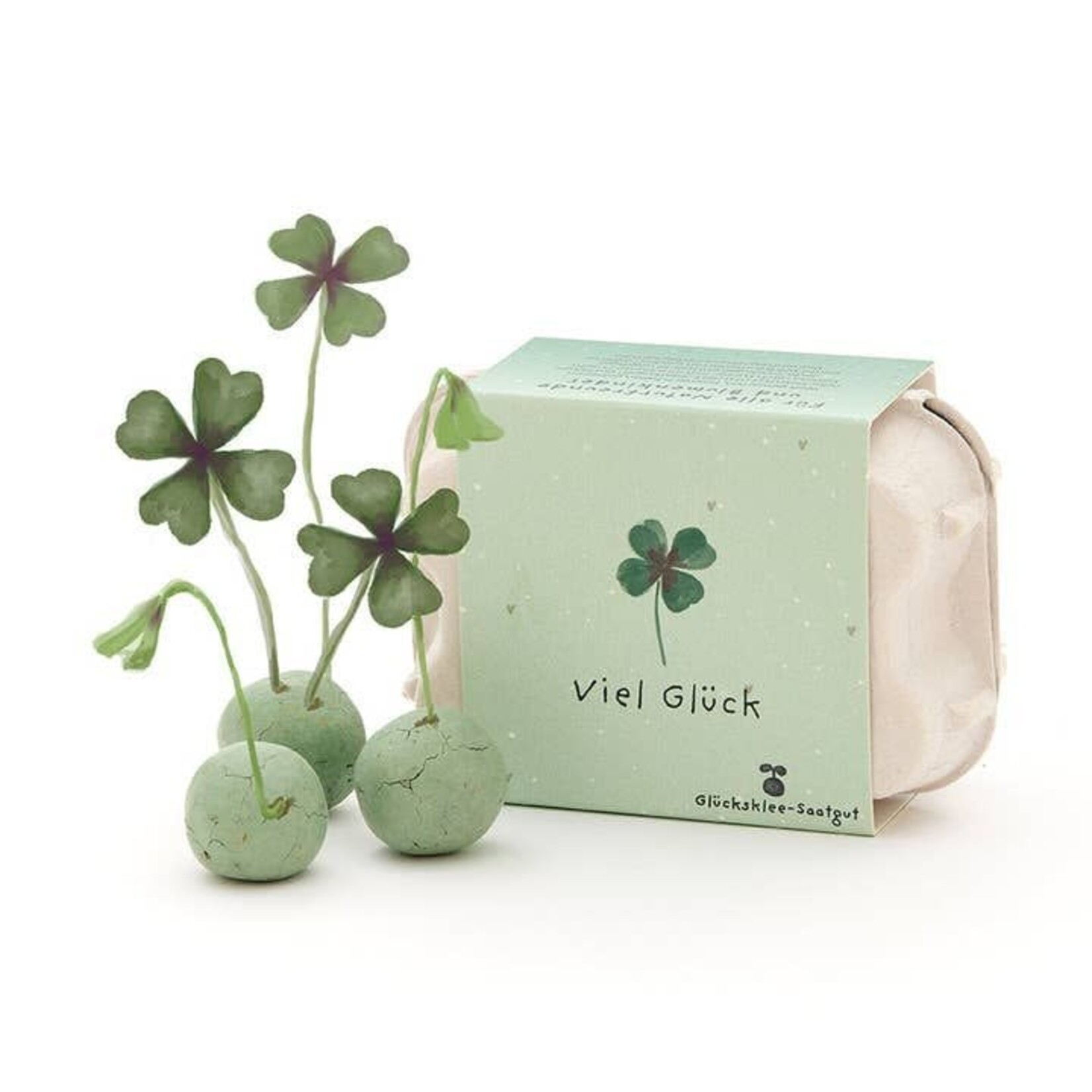 STADGARTNER STADGARTNER - Boite de 6 boules à planter - trèfles à 4 feuilles