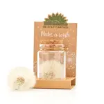 STADGARTNER STADGARTNER - Make a wish