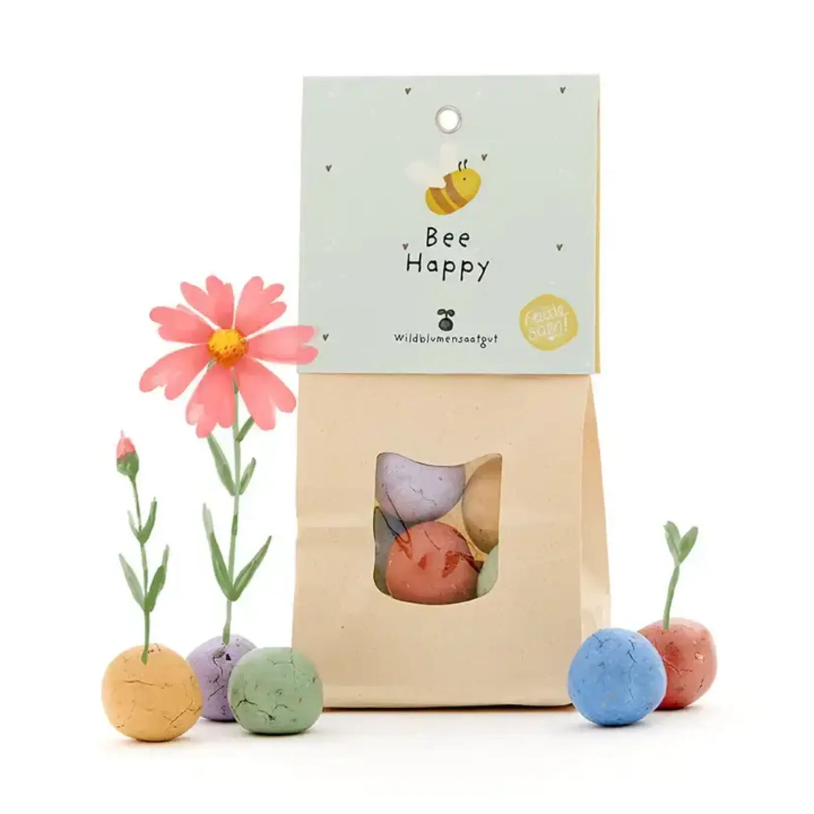 STADGARTNER STADGARTNER - Boite de boules de fleurs colorées à planter