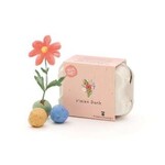 STADGARTNER STADGARTNER - Boite de boules de fleurs colorées à planter "Merci beaucoup"