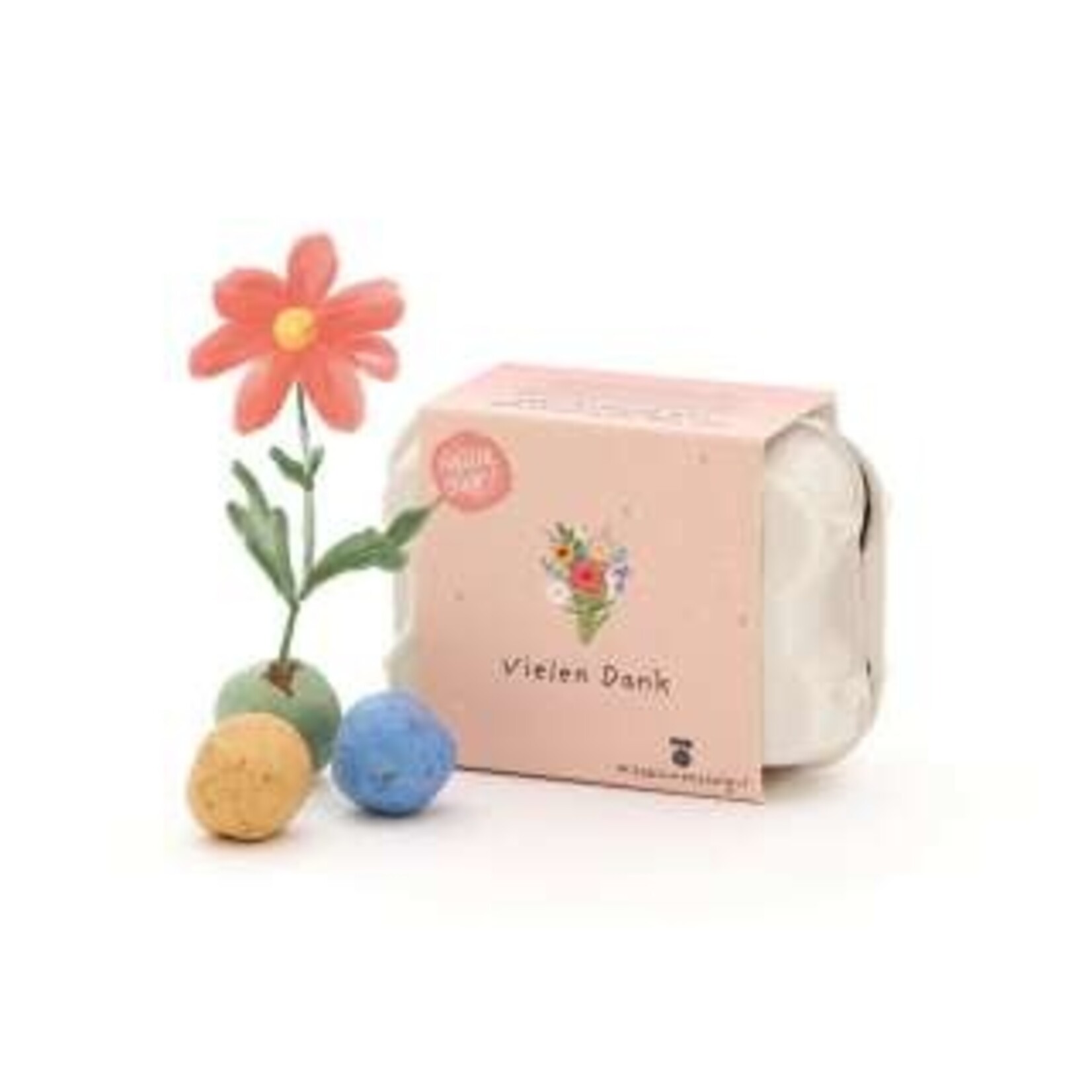 STADGARTNER STADGARTNER - Boite de boules de fleurs colorées à planter "Merci beaucoup"