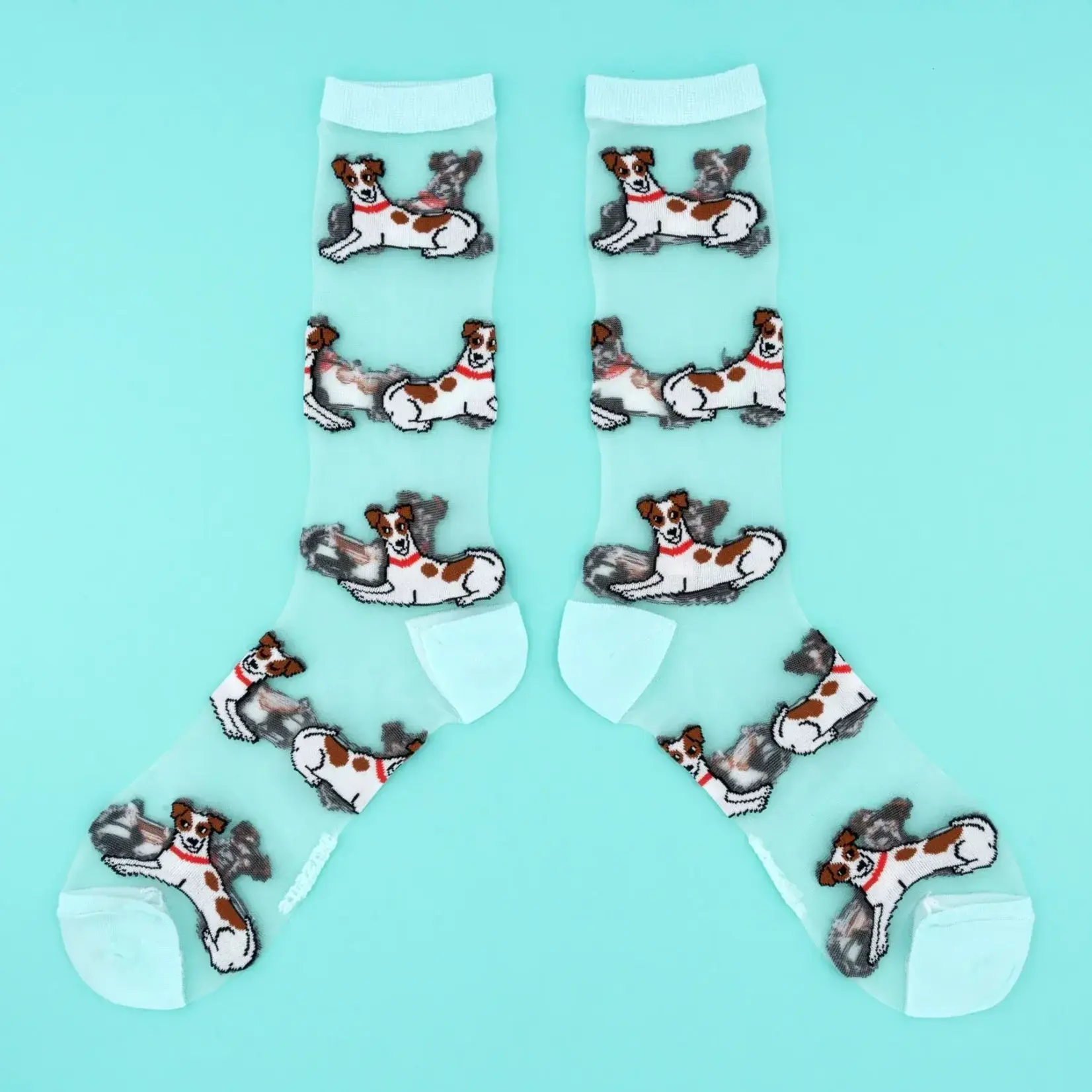 coucou suzette Coucou Suzette - Chaussettes transparentes Jack Russel - 36/40