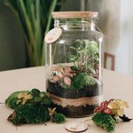 One Of A Kind Atelier terrarium - Samedi 14 mars - 11h00
