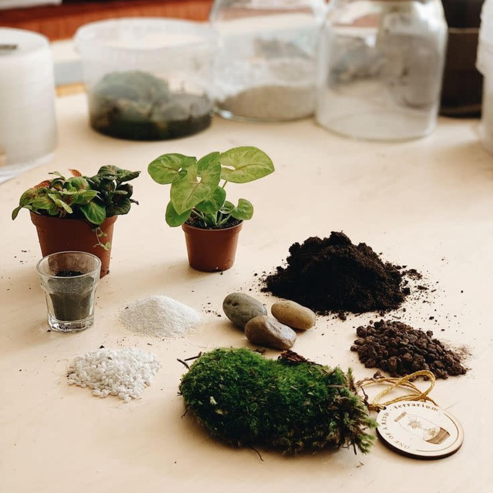 One Of A Kind Atelier Terrarium Duo parent/enfant