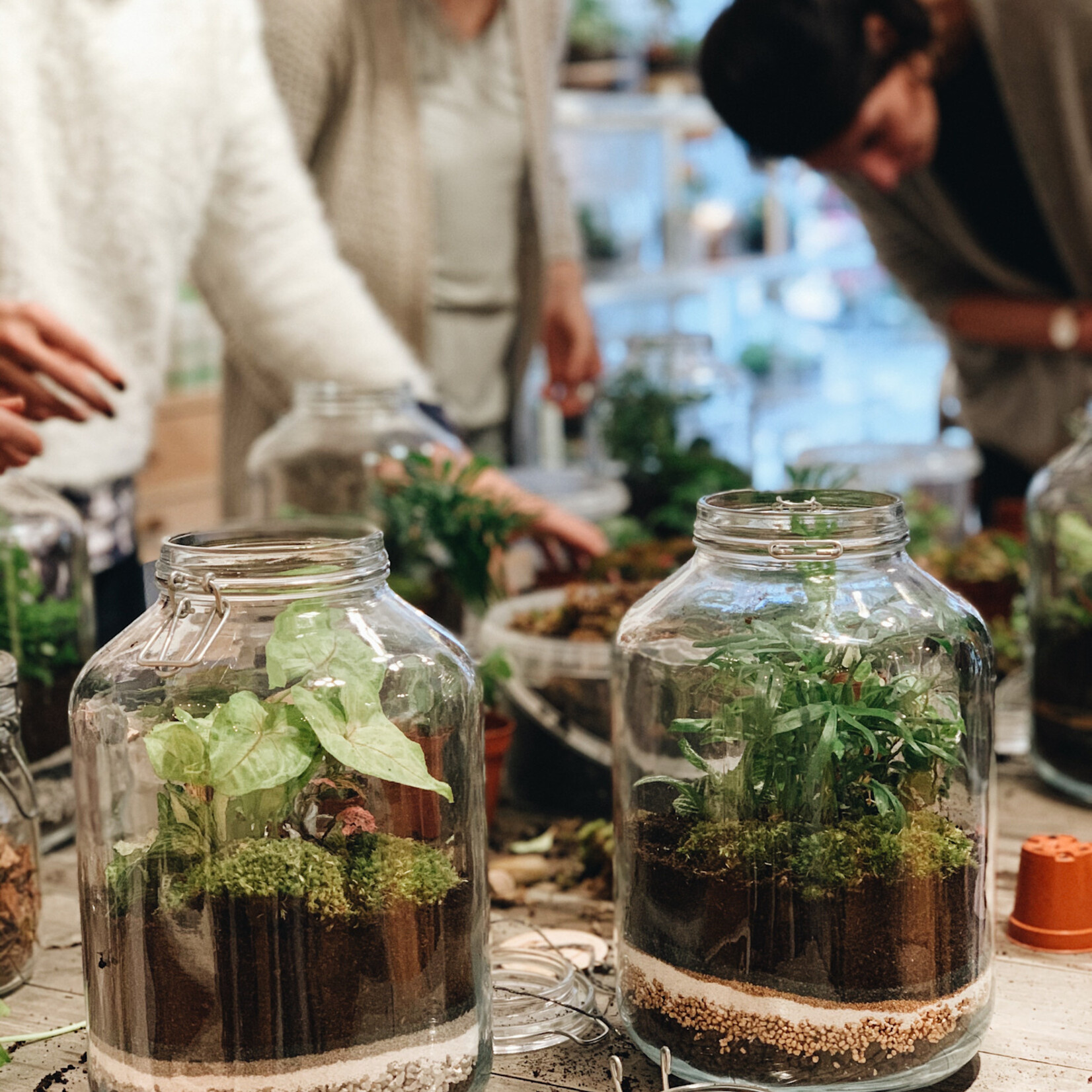 One Of A Kind Atelier Terrarium - Adulte