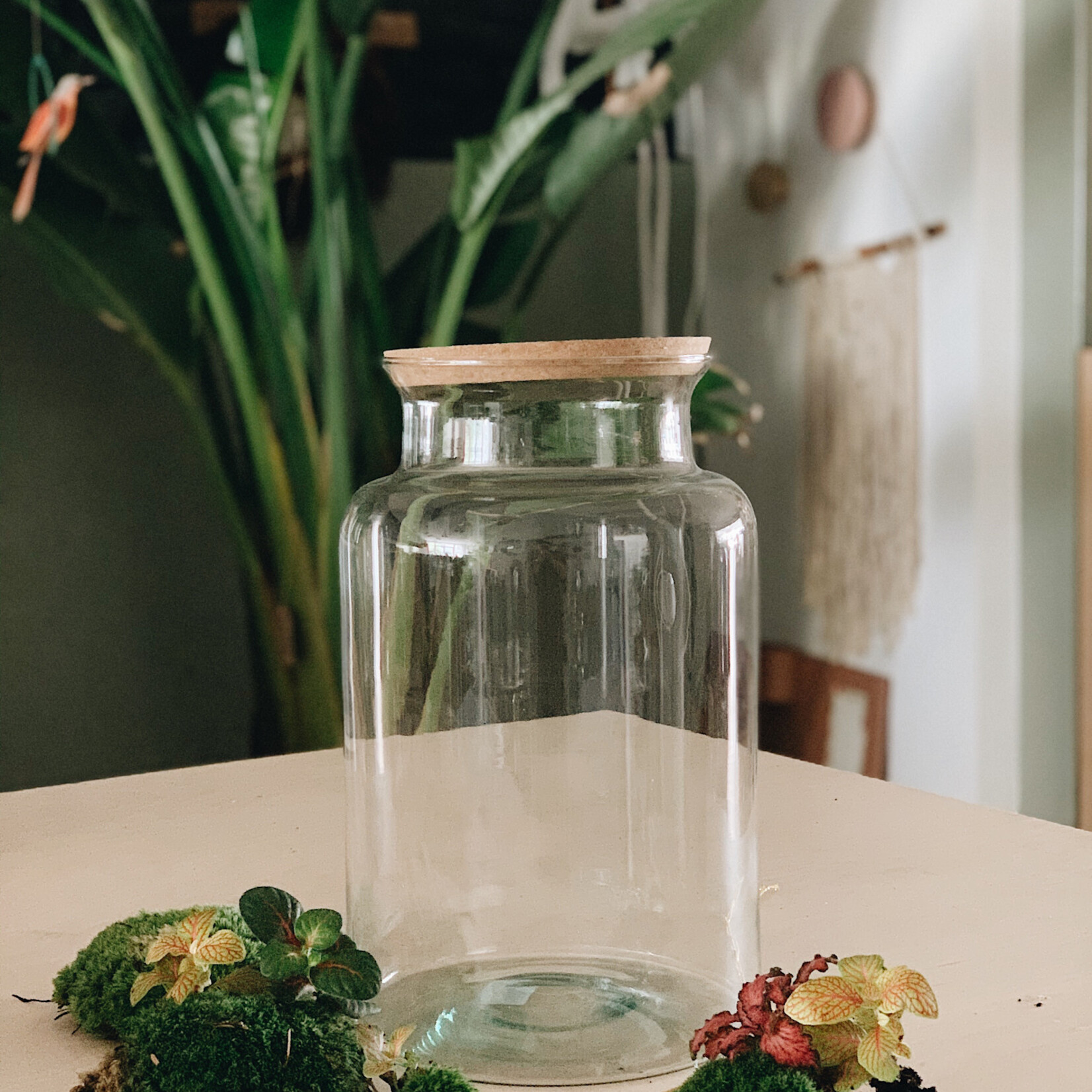 One Of A Kind Atelier Terrarium - Adulte