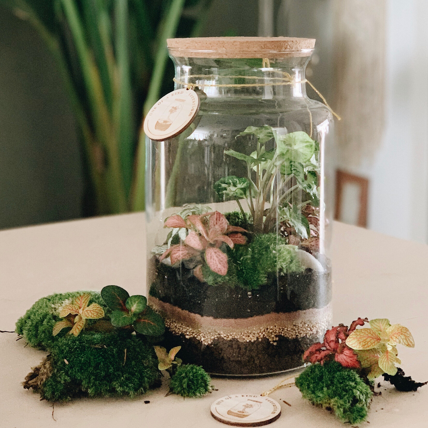 One Of A Kind Atelier Terrarium - Adulte