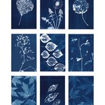 One Of A Kind Atelier cyanotype - Mini atelier Inauguration 18 & 19 avril