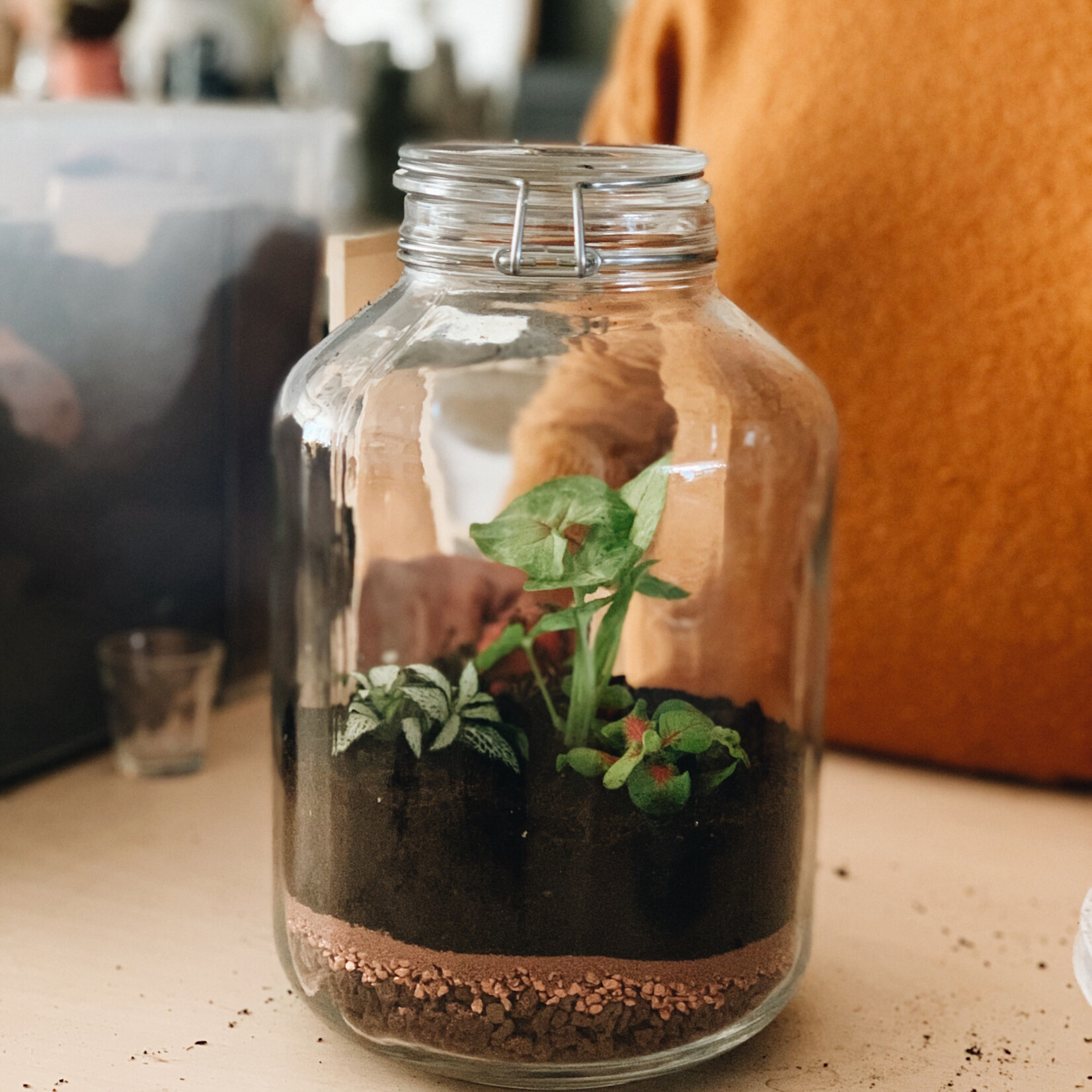 One Of A Kind Atelier terrarium - Mini atelier Inauguration 18 & 19 avril